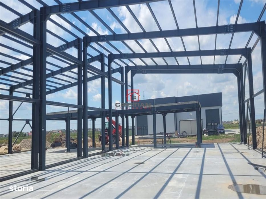 Vanzare depozithalaspatiu industrial Domnesti - Centura, Ilfov