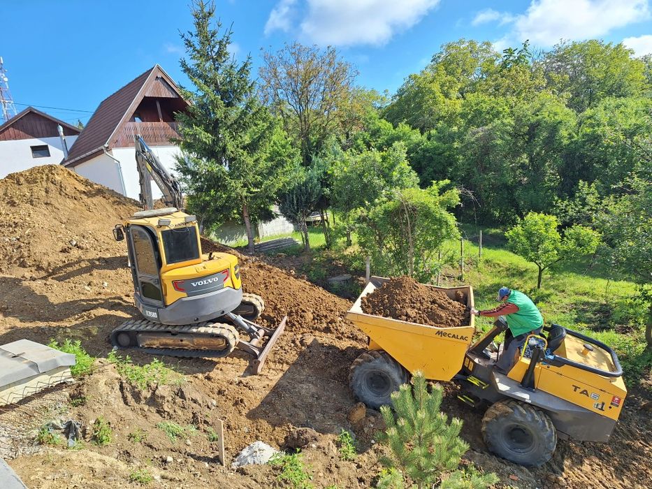 De închiriat miniexcavator