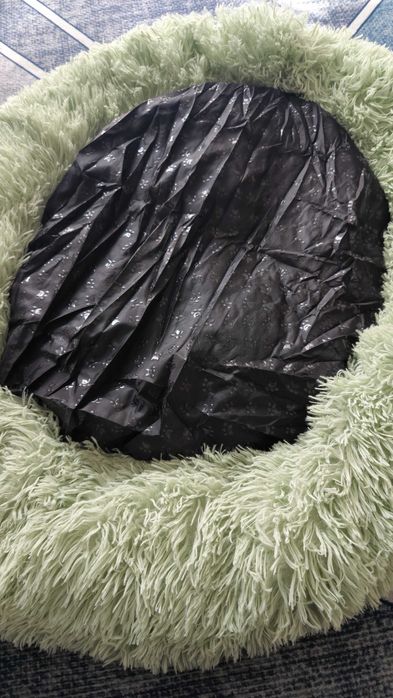 Pat culcus caini, pisici