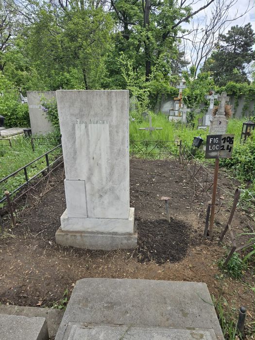 Locuri de veci la cimitirul belu figura 106 langa alee