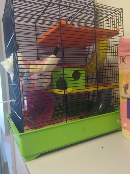Doi Hamsteri pitici cu cușcă complet echipată și accesorii