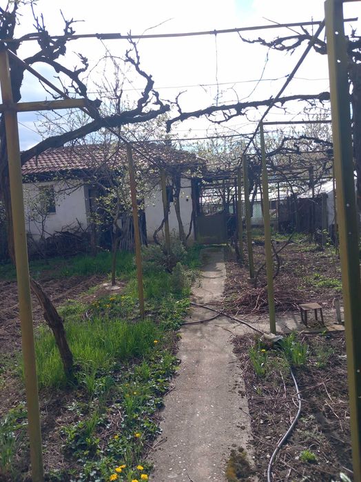 Продава се Къща в с. Пиперков чифлик, Област Кюстендил - 152 кв.м за 461 €/кв.м - Снимка #3