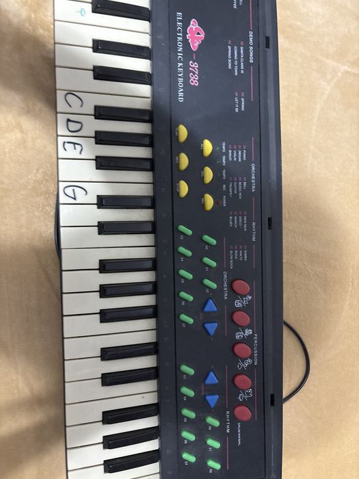 Orga electronica pentru copii