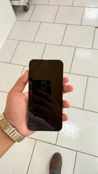 iPhone 13 Pro Max Green