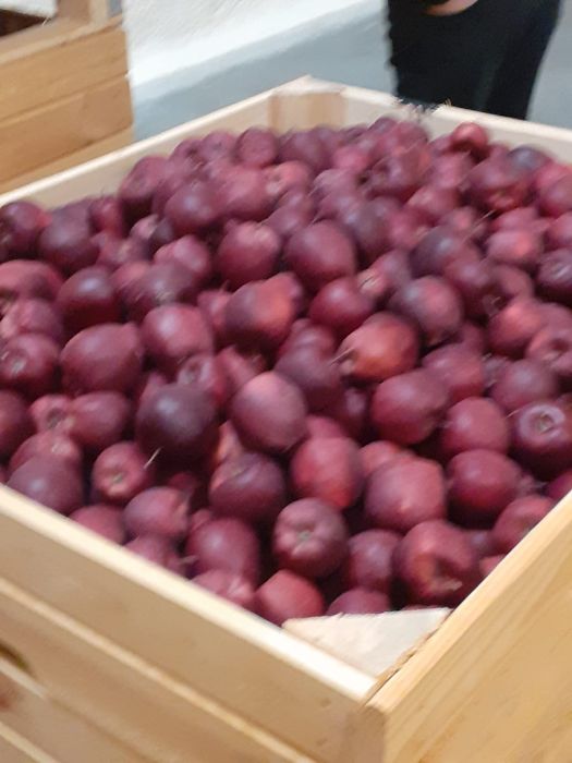 Mere polonia la cel.mai bun preț din România calitate fără concurenta