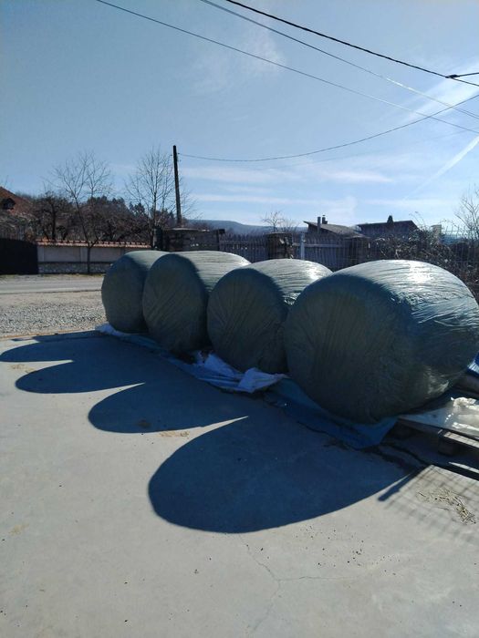 Vand baloti rotunzi de lucerna