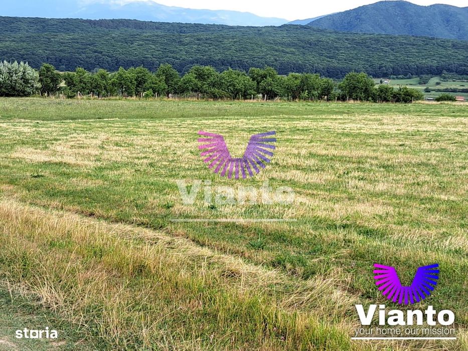 Oportunitate-Teren Extravilan 3100 mp cu vedere Panoramica-Tropinii No