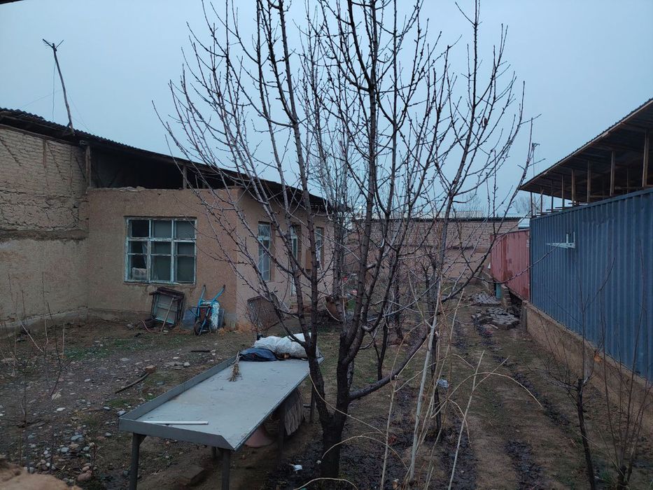 Toshken Keles Abdurahmonovda