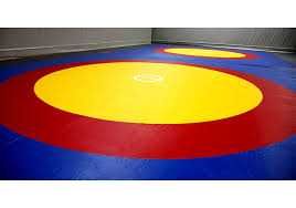 Борцовский ковер (без матов), 10х10м