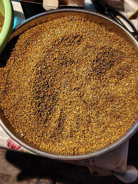 Polen crud proaspăt