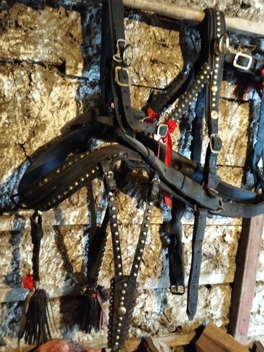 Căruță. Ham de București