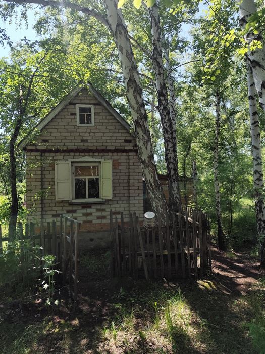 Продам Дачу в Новопавловке в лесу