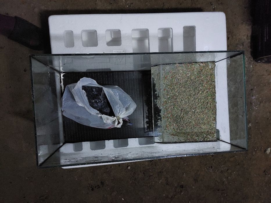 Acvariu pești/broscuțe