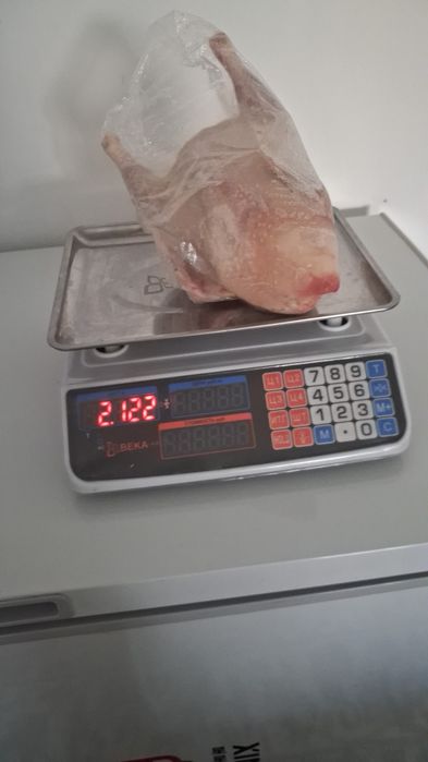 Куры домашние оптом и в розницу