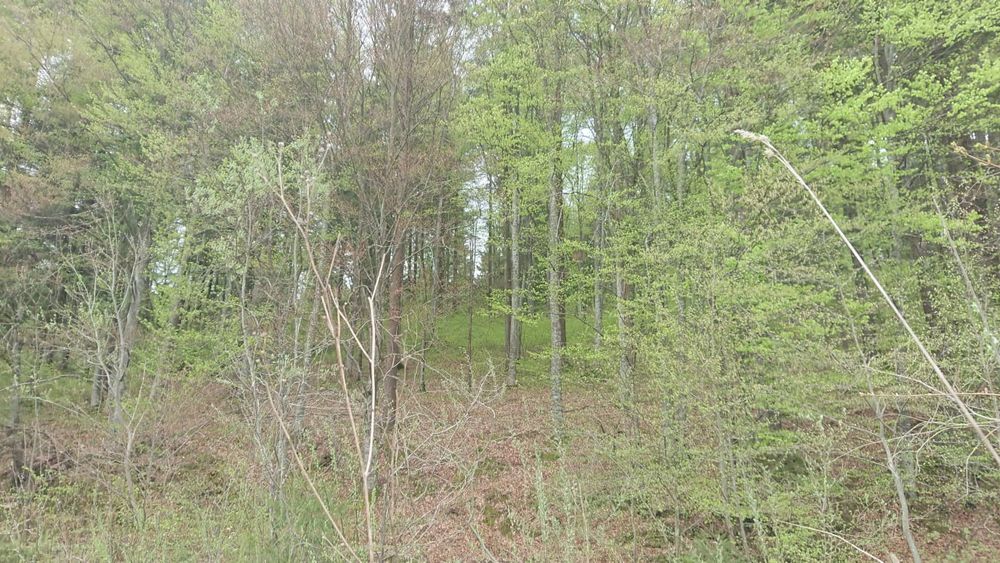 Teren de vanzare la munte valea bozumului