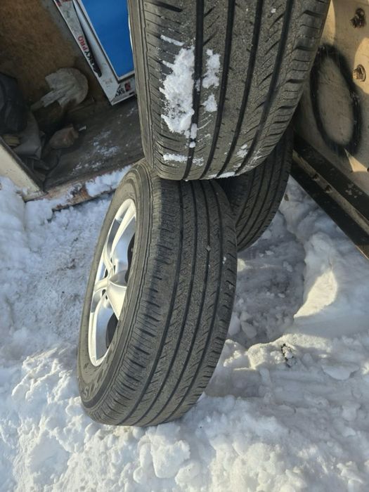 Комплект шин Maxxis