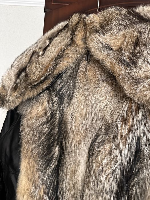 Волк натуральный