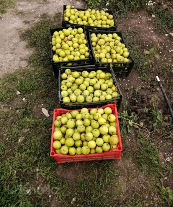 Продается дача в живописном месте