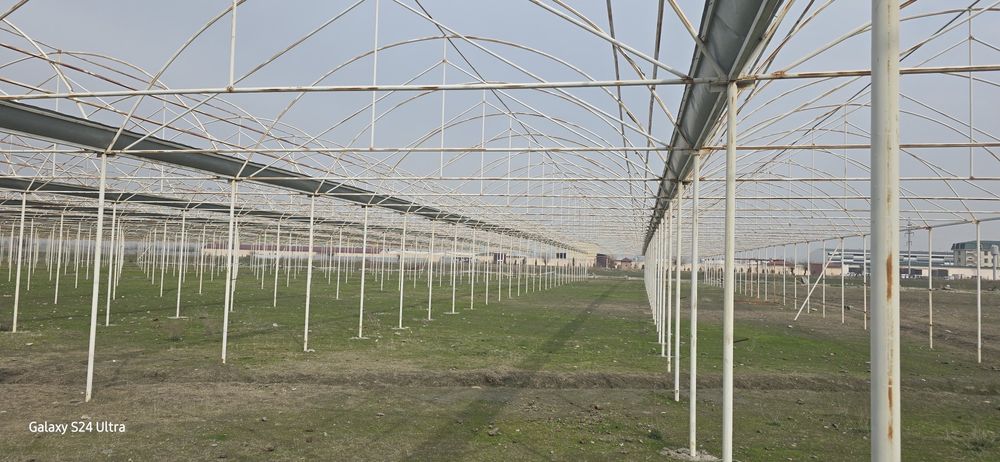 Теплица 1 га  ва теплица метал конструкциялари сотилади