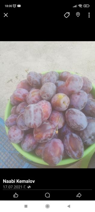 Продава се Къща в с. Асеновци, Област Плевен - 60 кв.м за 192 €/кв.м - Снимка #8