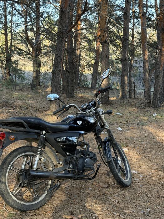 Racer 110gs,Racer Alpha