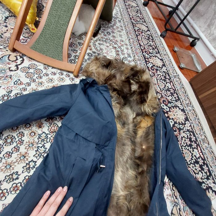 Парка куртка ...