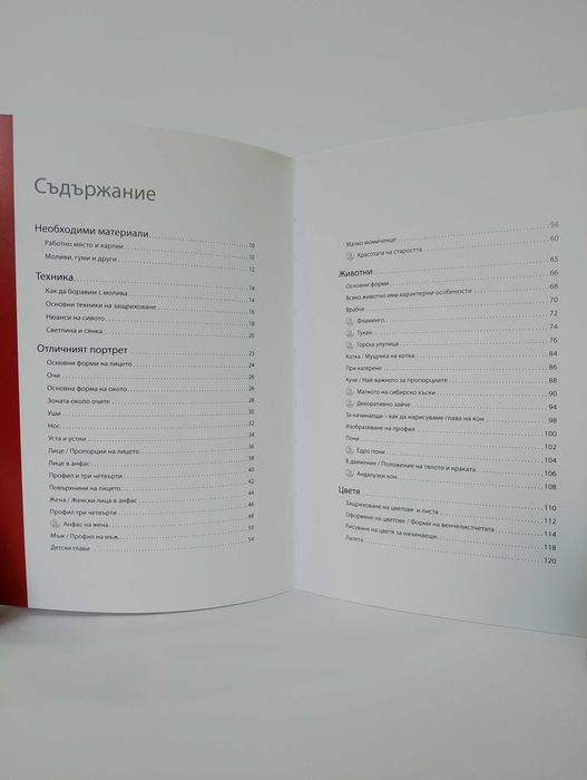 Изкуството да рисуваш за 15 минути
