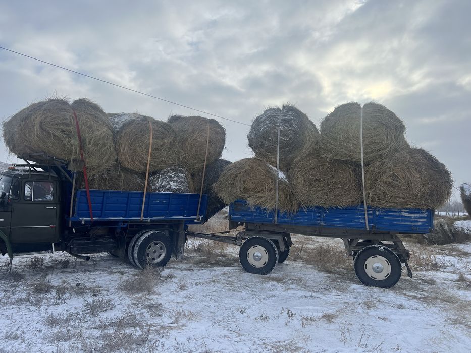 Продаю сено в рулонах