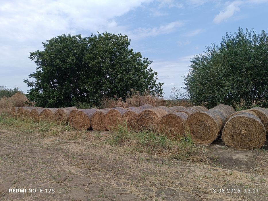 Продавам рулони с люцерна