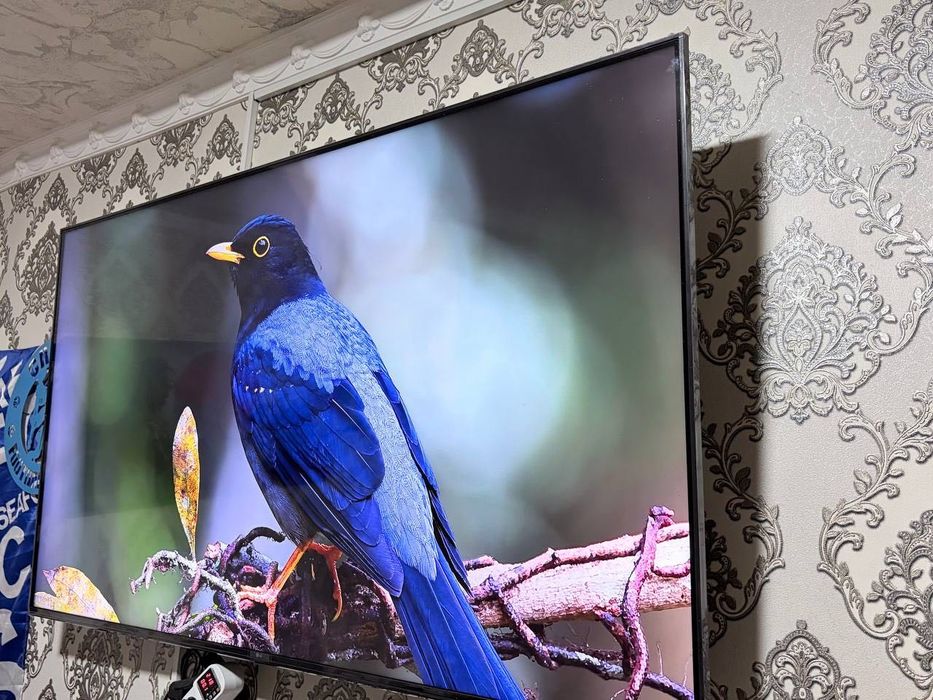 Lg 65 WebOS Tv ua75009LA