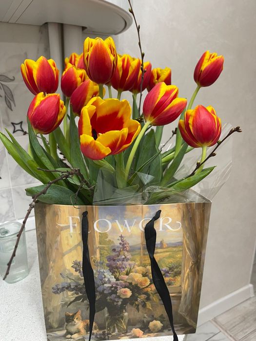 Цветы тюльпаны .