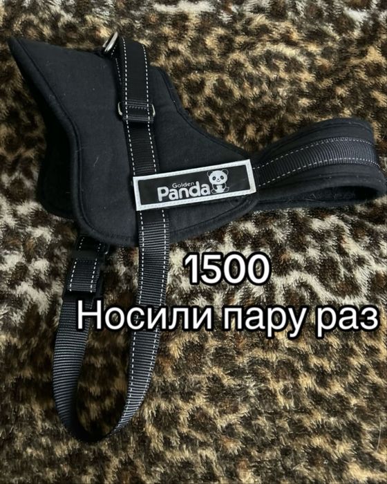 шлейка для собак