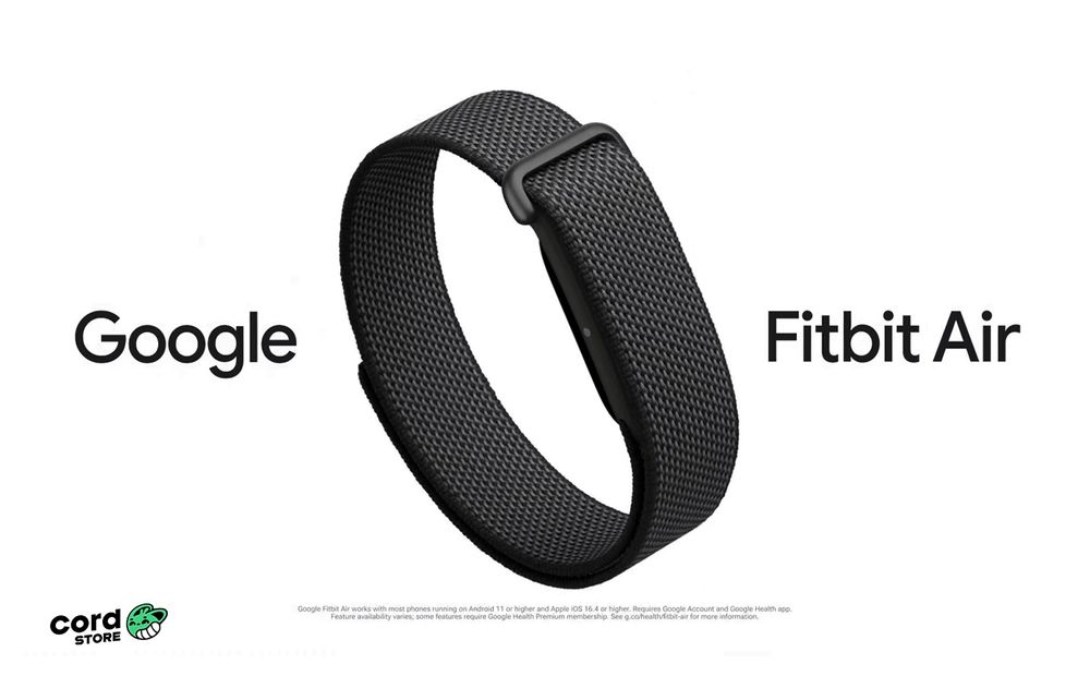 Google Fitbit Air