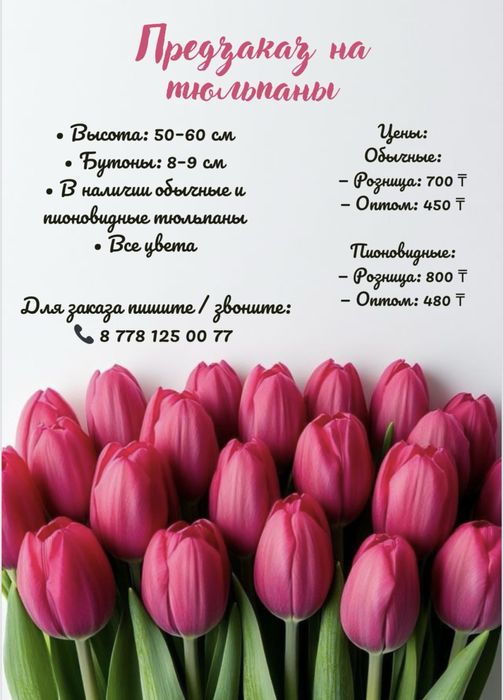 Тюльпаны пиновидные тюльпаны