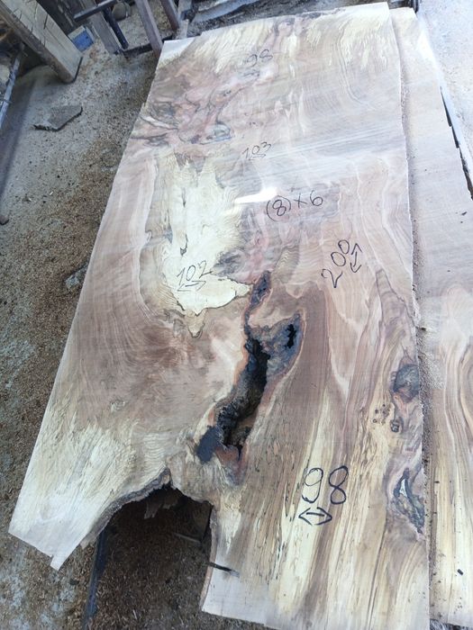 Blaturi mese deosebite