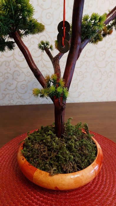 Бонсай авторская работа