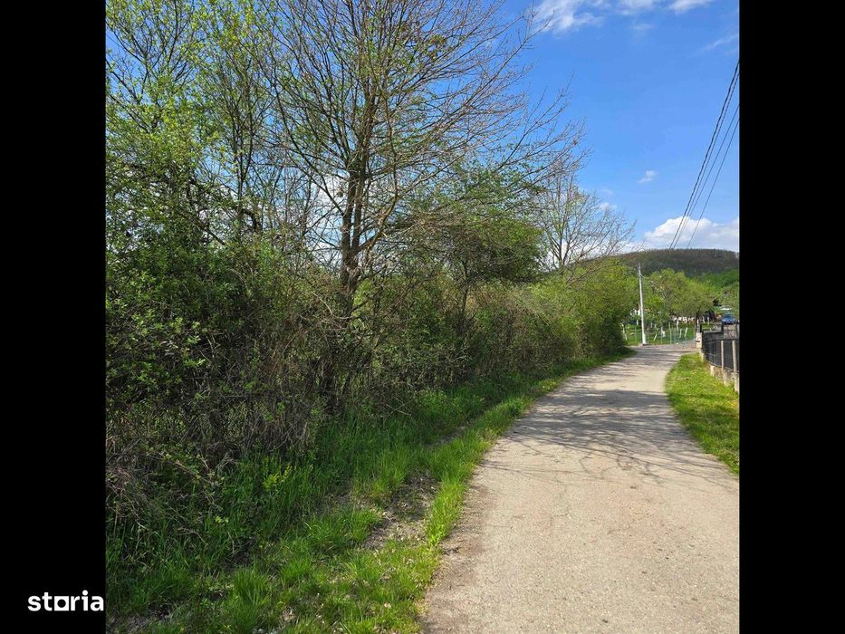 Teren intravilan cu nr.de casă.