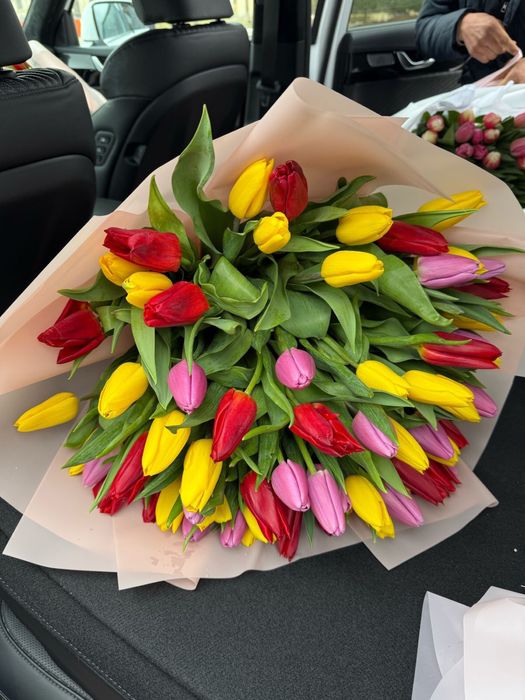 Тюльпаны оптом и в розницу