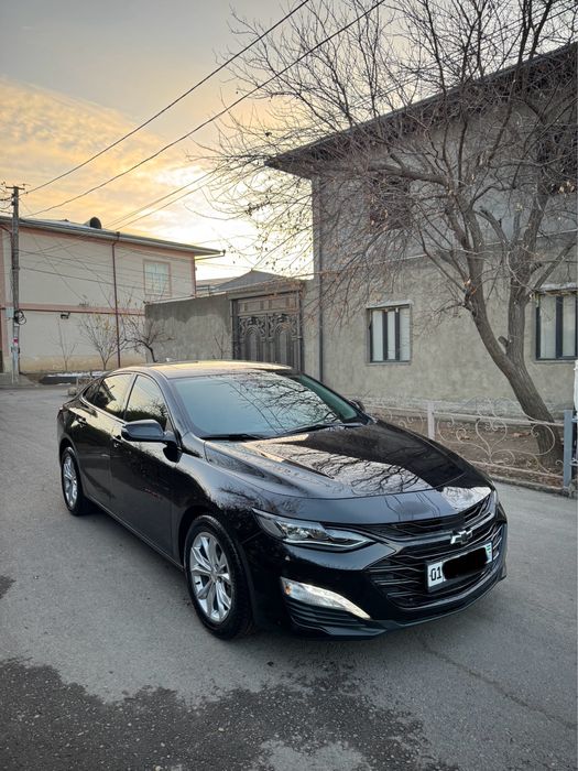 Malibu XL 2023-24 Tozza ideal srochna