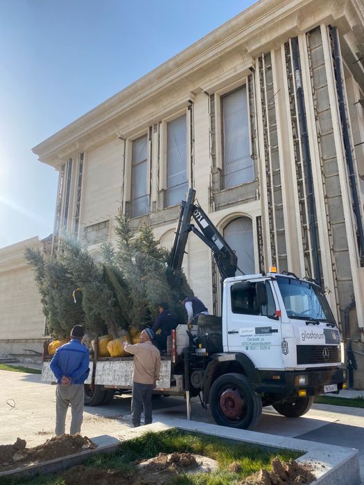Манипулятор город Шымкент