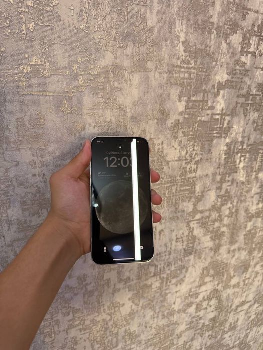 Iphone 12 pro max srochna