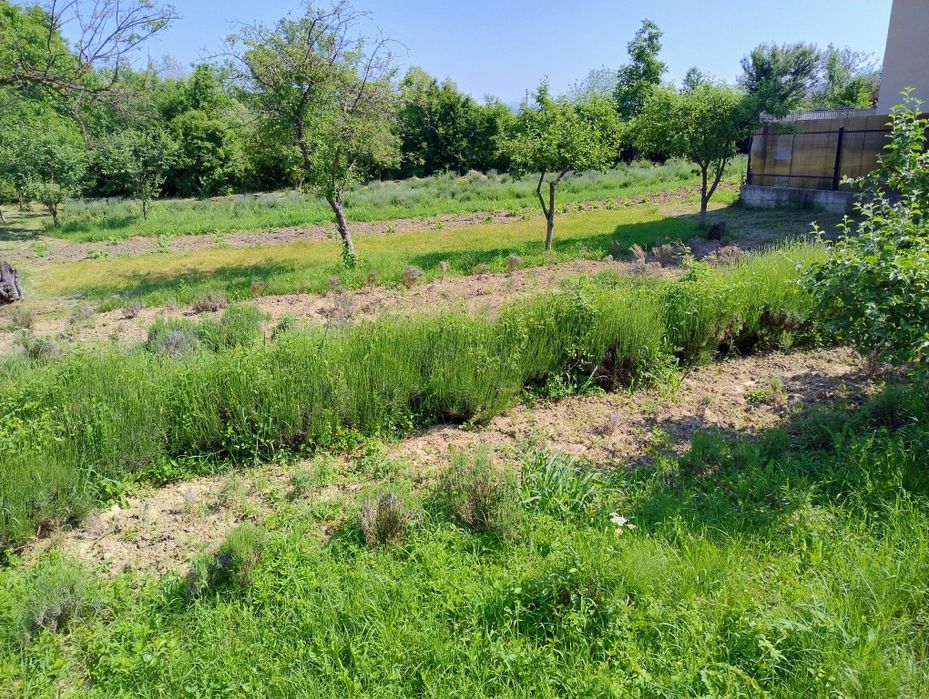 Teren în Vălenii de Munte