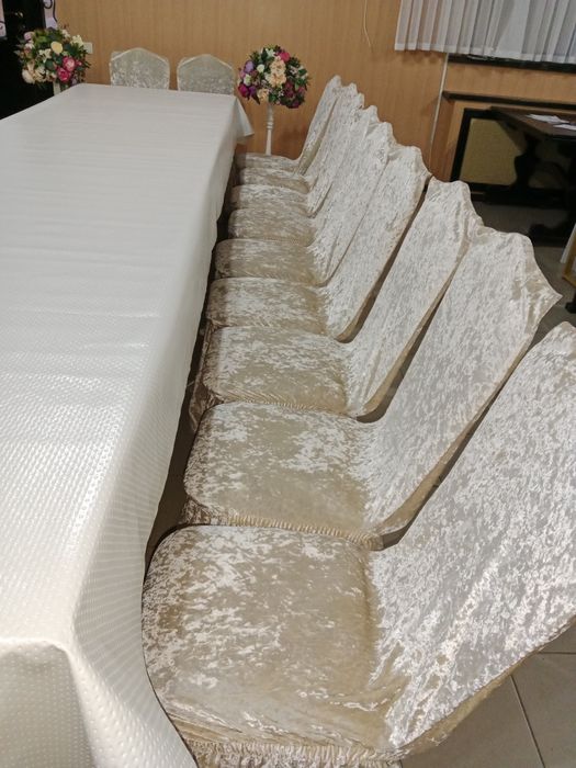 Аренда стол и стулья