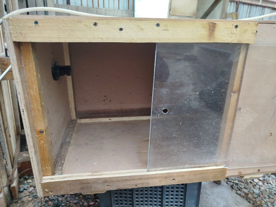 Брудер для цыпляты