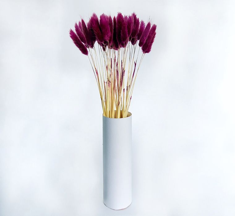 Сухоцветы для интерьера. ЛАГУРУС.