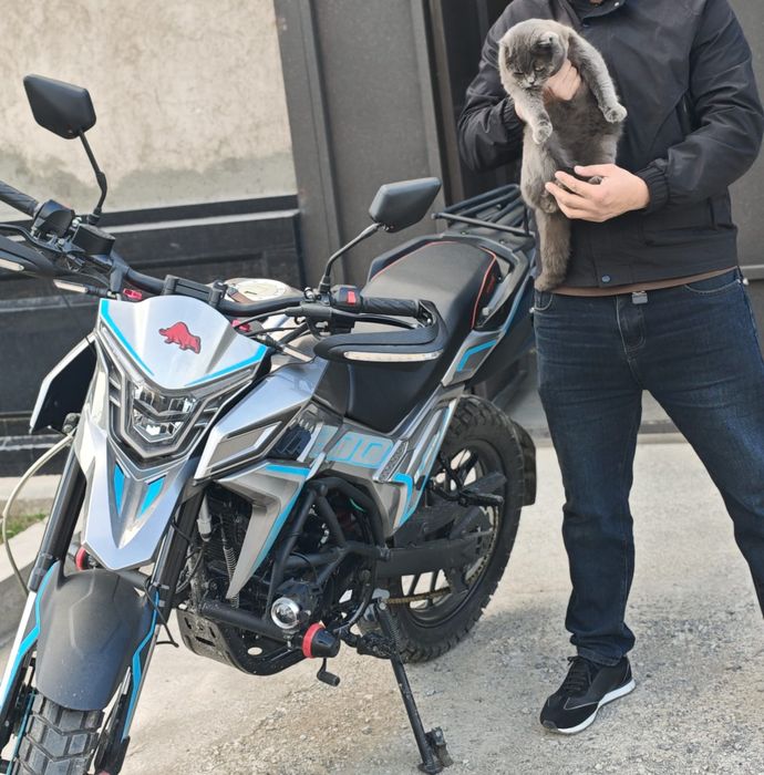 Матоцикл Tekken R-Lain 300