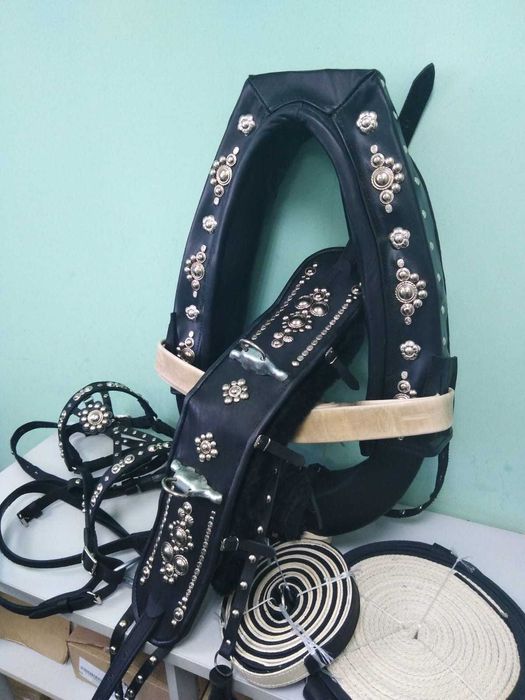 Упряжь парадная для лошади