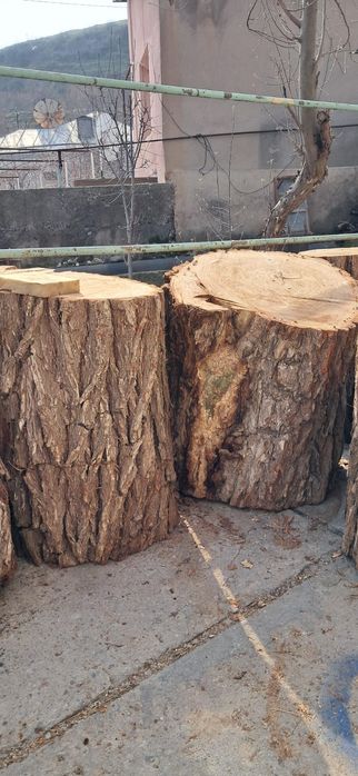 Пенок  для разделки