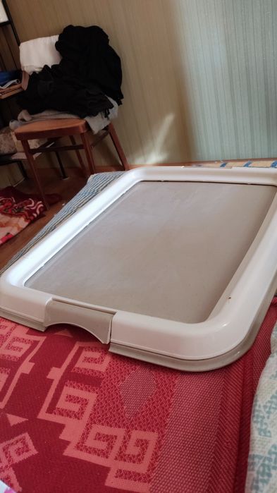 лоток для животных