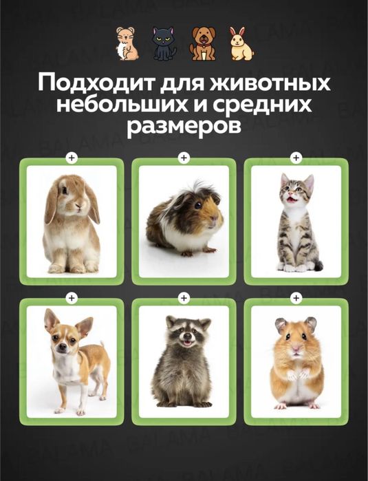 Клетка для животных